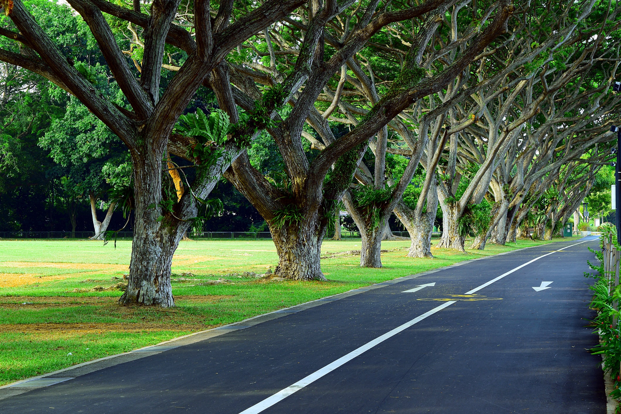 East Coast Park